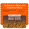 Organic Red Fife Heirloom Wheat Berries