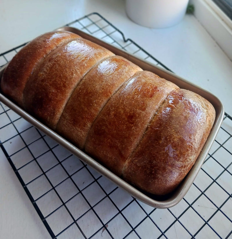 Whole Grain Brioche