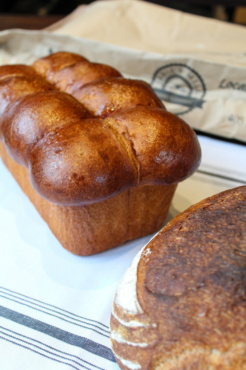 Sourdough Brioche by Cati Molnar