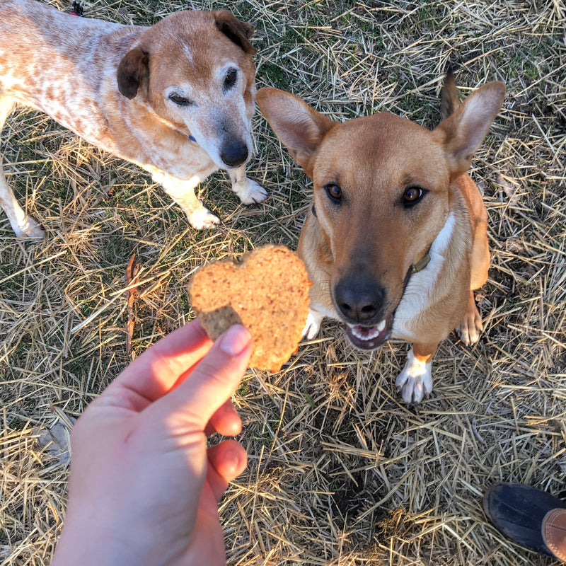 Apple & Oat Dog Biscuits