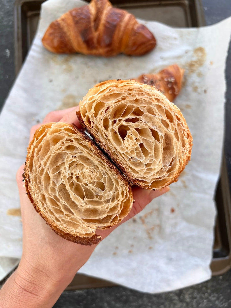 Whole Wheat Croissants, by Natalya Syanova (Natasha's Baking)