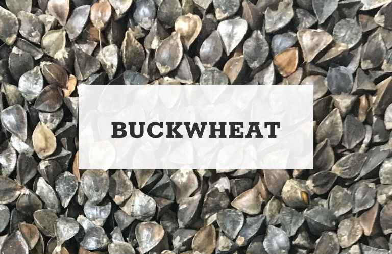 Buckwheat