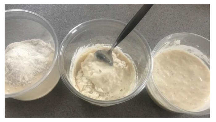 Sourdough Starter Set