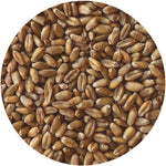 Organic Warthog Wheat Berries