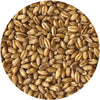 Organic Frederick White Wheat Berries