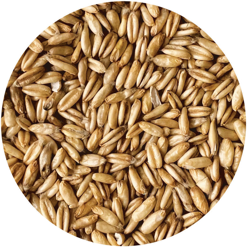 Organic Whole Oat Groats