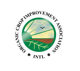 Organic Whole Oat Groats