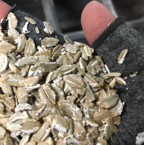 Miell Rye Organic Rye Flakes – Janie's Mill
