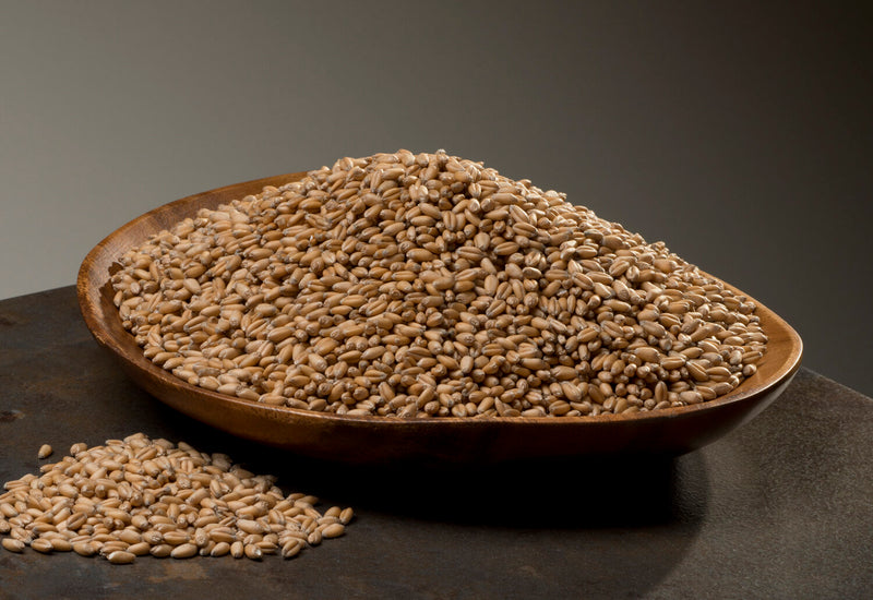 Organic Soft Red Winter Wheat Berries