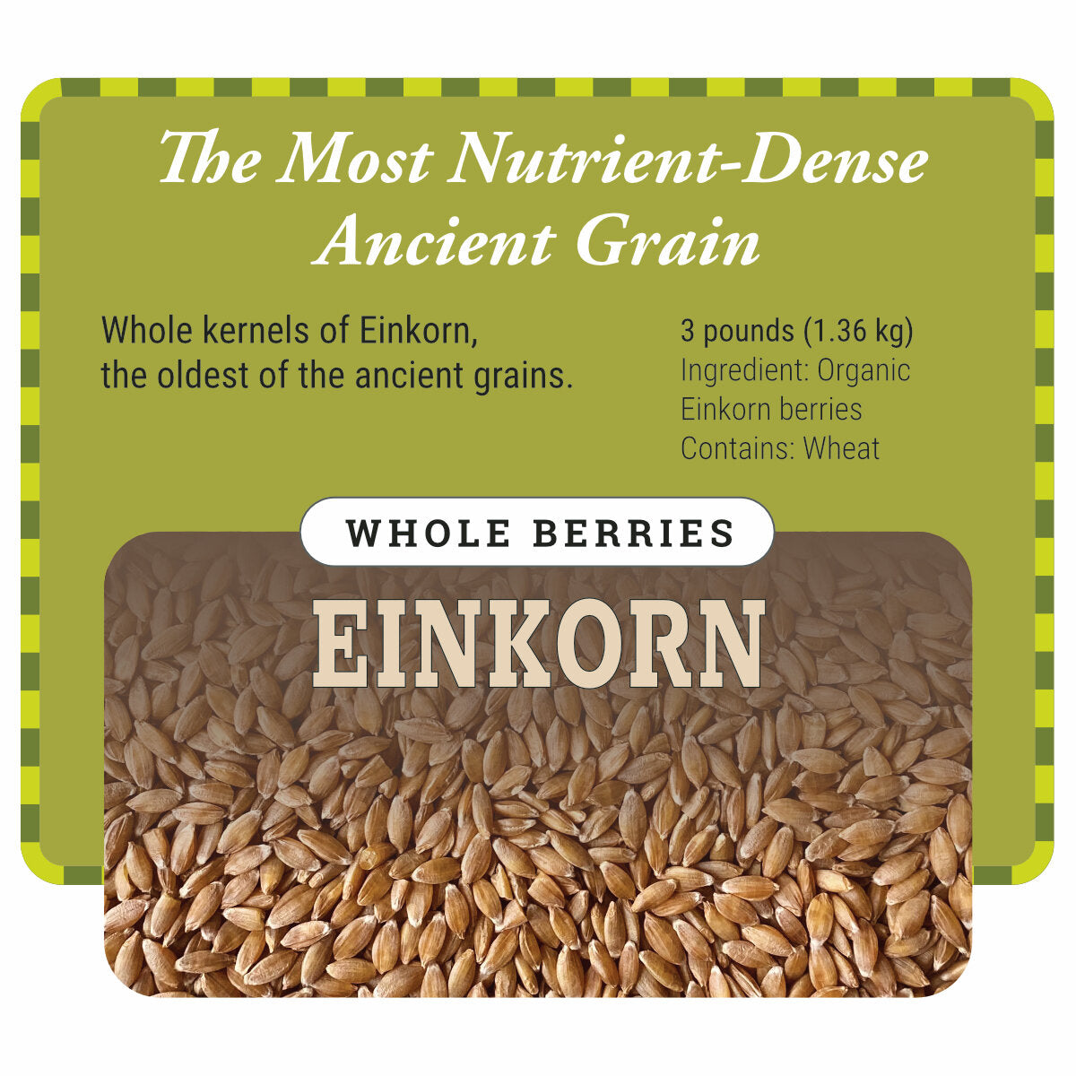 einkorn wheat seeds for planting Organic Einkorn Berries – Janie's Mill