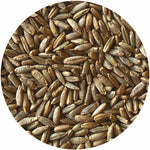 Organic Rye Berries