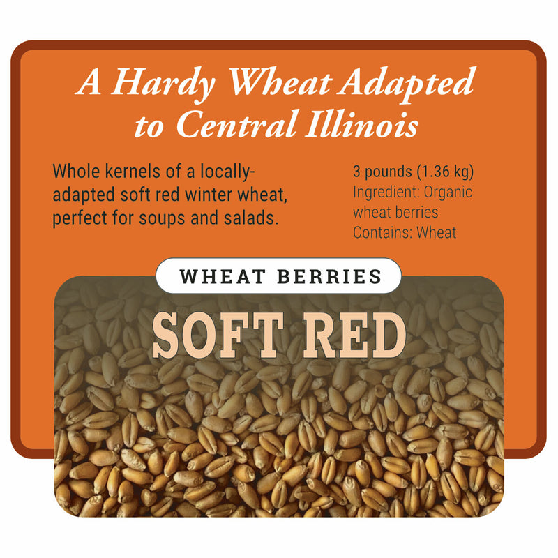 Organic Soft Red Winter Wheat Berries